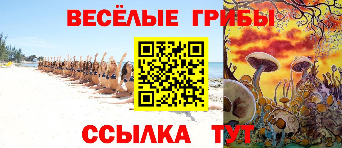 Псилоцибиновые грибы прущие грибы  Псилоцибиновые грибы Psilocybine cubensis  Вход с VPN  Дивногорск 